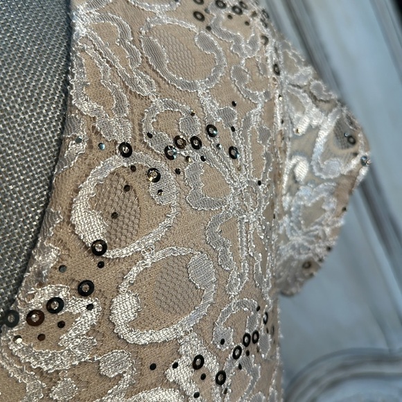Scarlett Tan Lace and Sequins Short Sleeve Special Occassion Party Dress Size 6 - Picture 8 of 11